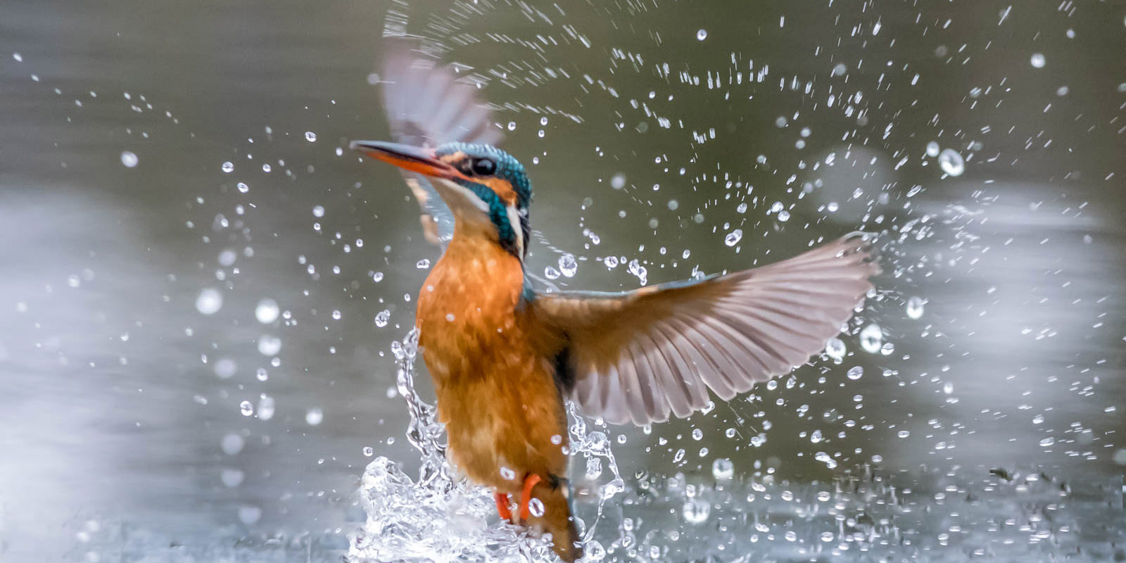 20150209__Hut01_Glenn_Vermeersch_1115-bewerkt-bewerkt breed