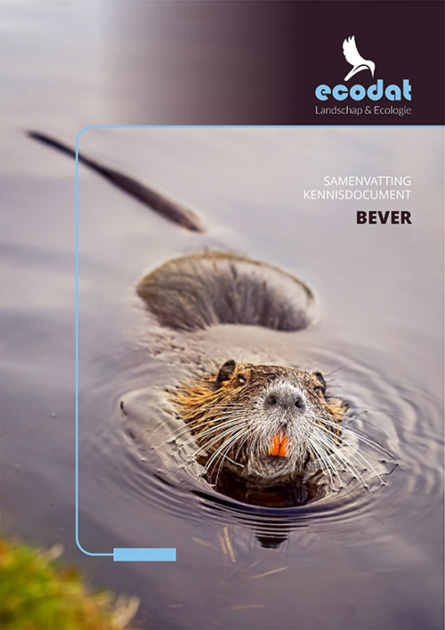 Samenvatting kennisdocument Bever