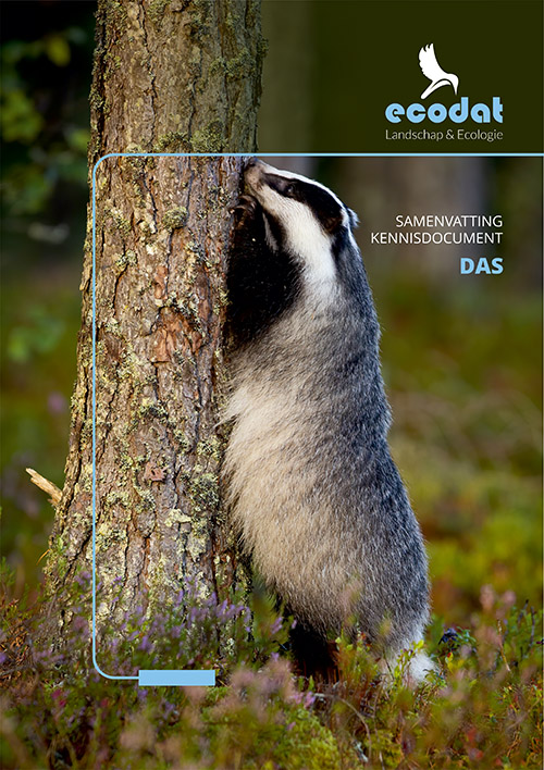 Samenvatting kennisdocument Das