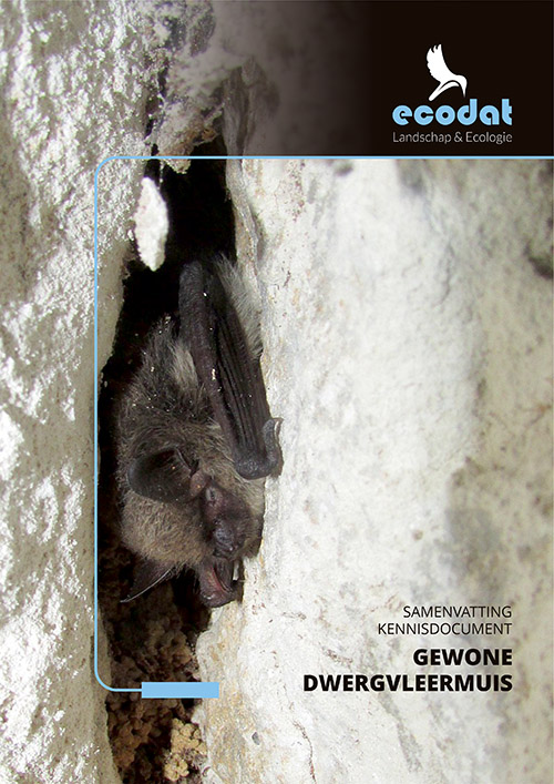 Samenvatting kennisdocument Gewone Dwergvleermuis
