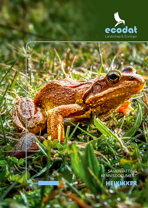 Samenvatting kennisdocument Heikikker