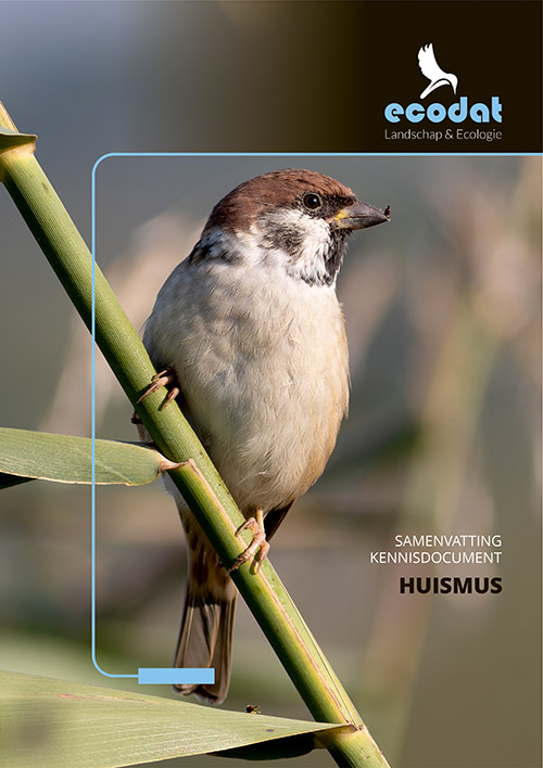 Samenvatting kennisdocument Huismus