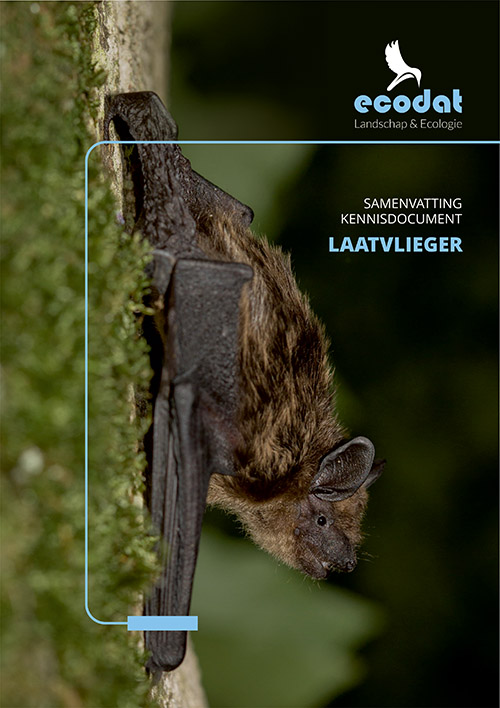 Samenvatting kennisdocument Laatvlieger