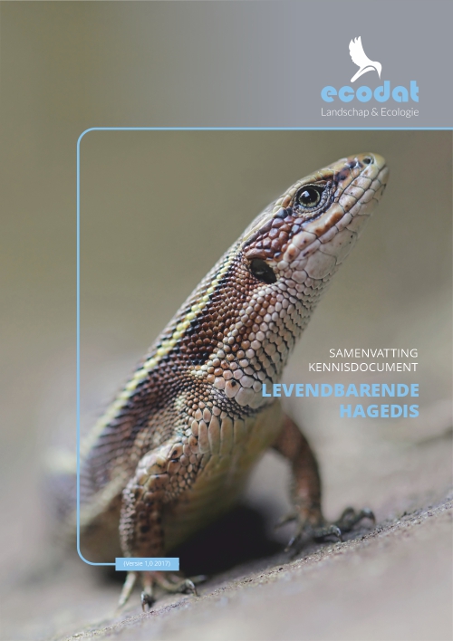 Samenvatting kennisdocument Levendbarende Hagedis