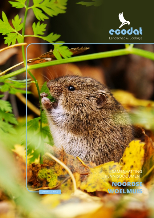 Samenvatting kennisdocument Noordse Woelmuis