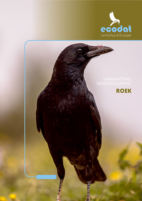 Samenvatting kennisdocument Roek