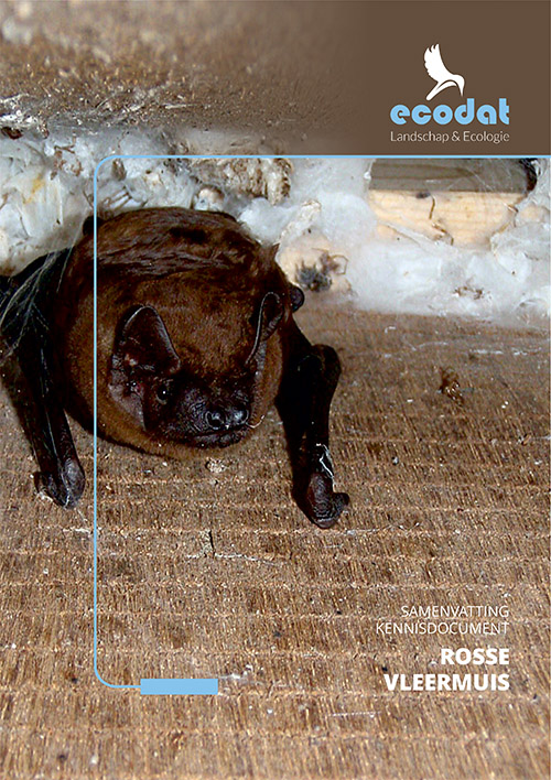 Samenvatting kennisdocument Rosse Vleermuis