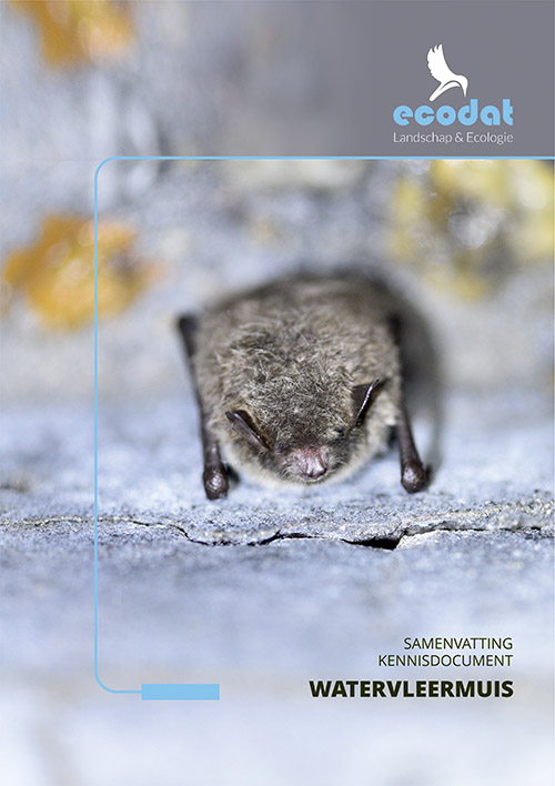 Samenvatting kennisdocument Watervleermuis
